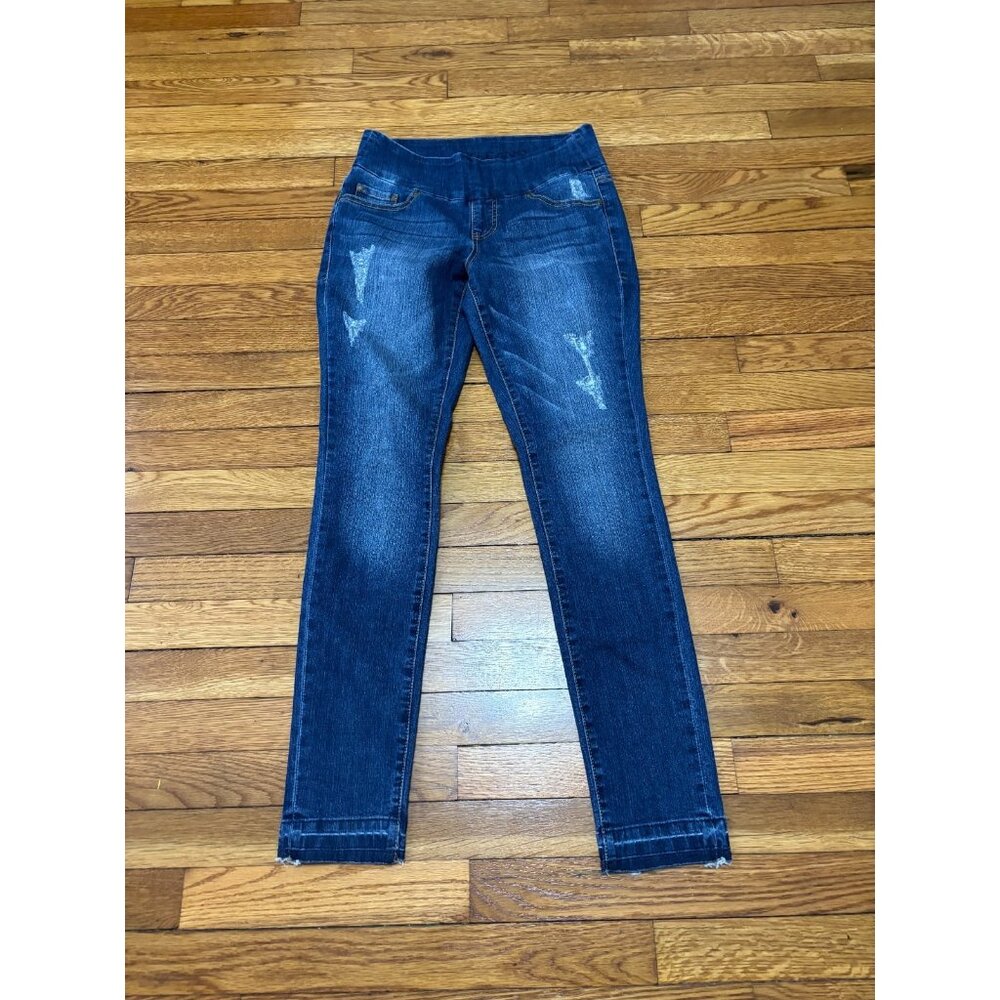 Jag Jeans Womens High Rise Skinny Size 4 Blue Distressed Stretch Denim